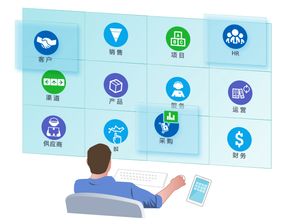 8manage企業(yè)管理軟件 通用型與定制開(kāi)發(fā)的選擇之道